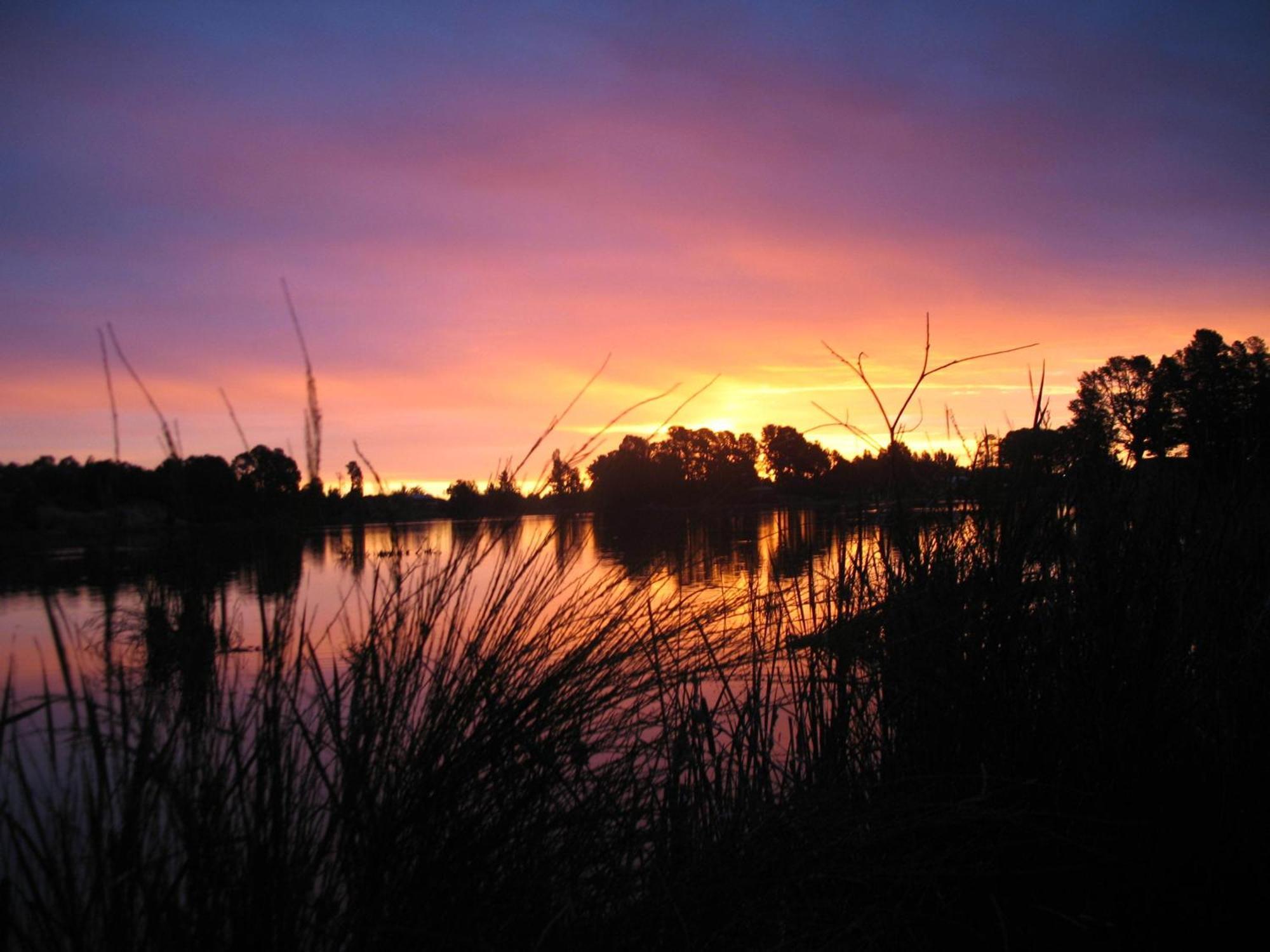 Beechworth Lake Sambell Caravan Park Eksteriør bilde