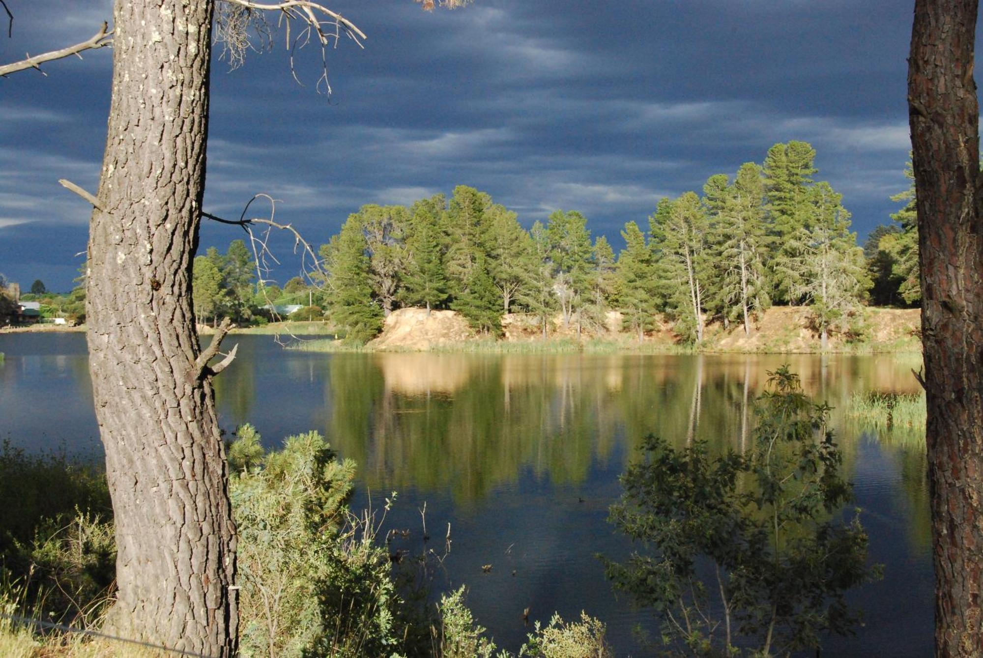 Beechworth Lake Sambell Caravan Park Eksteriør bilde
